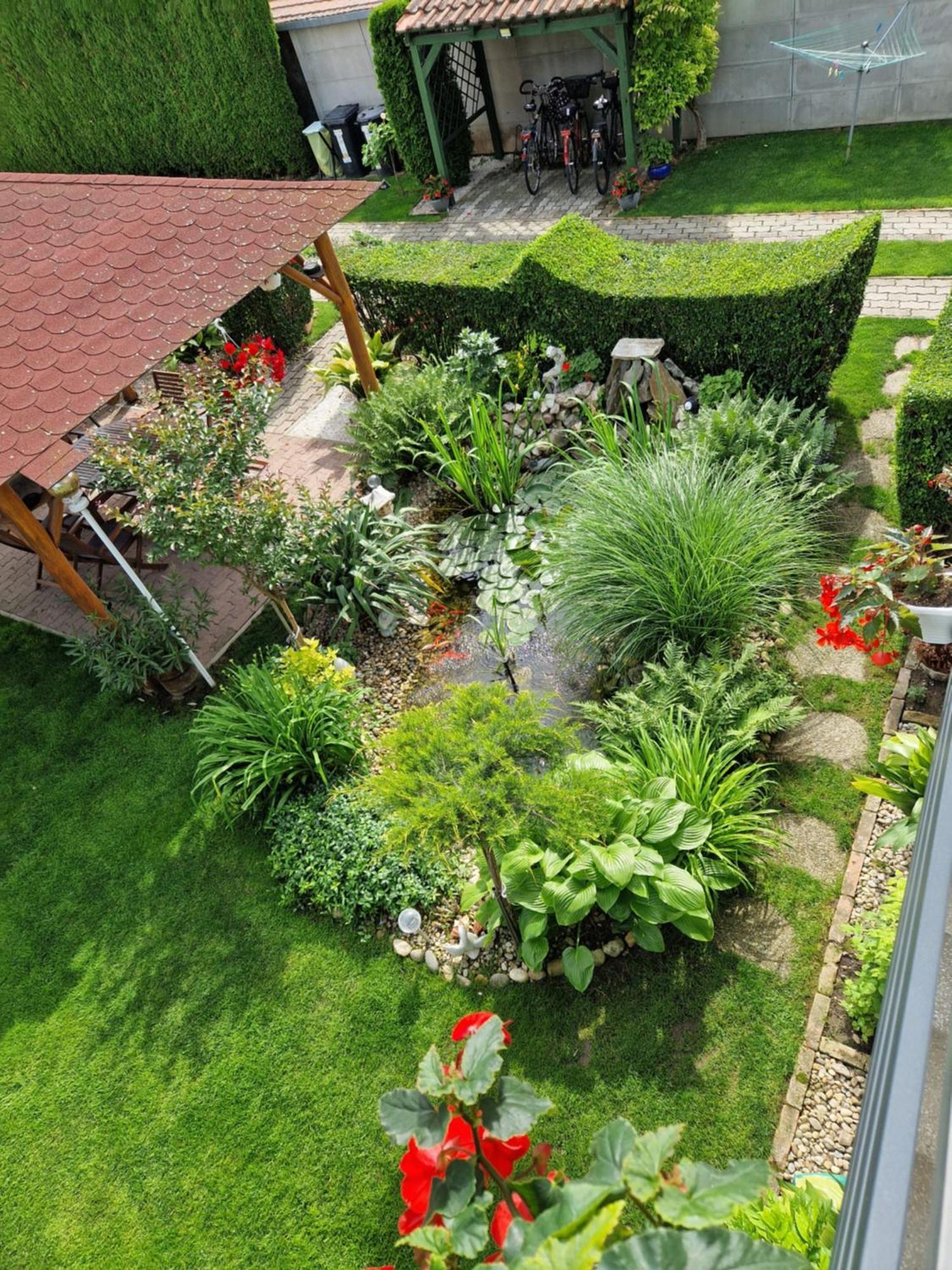 Hajnalka Vendeghaz Hotel Bük Buitenkant foto
